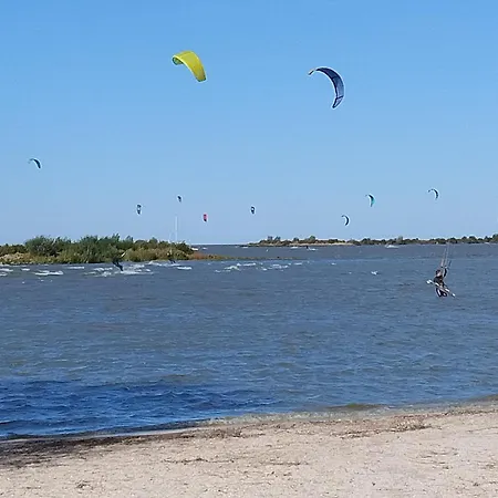 Het Boompje Отель типа 