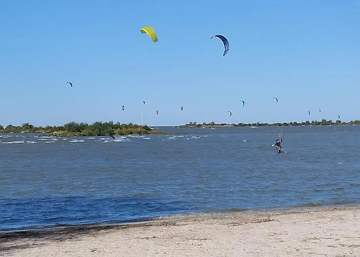 Het Boompje Bed & Breakfast Wervershoof